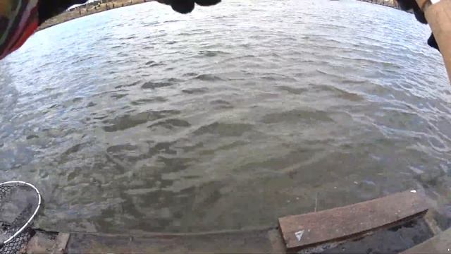 Открытый чемпионат Московской области по ловле спиннингом с берега. Командно-личный зачет. 2017 смотреть онлайн