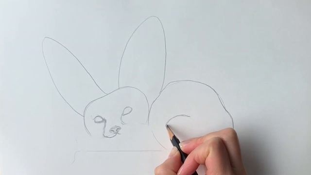 How to draw a fennec fox easy смотреть онлайн