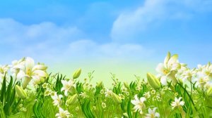 Футаж Летние фоны