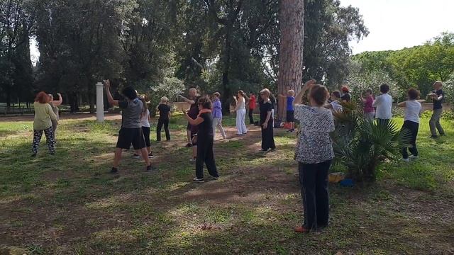 Corsi di Tai Chi e Qi Gong a Roma – Incontri Gratuiti di Pratica – Il Tai Chi Qi Gong 5 смотреть онлайн
