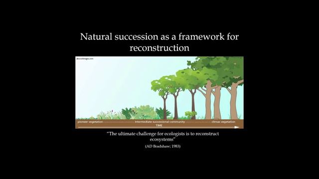 URBIS Dialogue 13: Greening the built environment part 2 смотреть онлайн