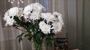 ?эксперименты с красителями ?Как красят цветы в разные ?цвета