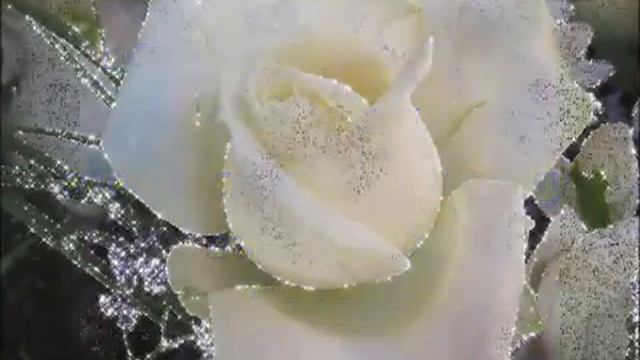 Позитивный настрой Благодарность смотреть онлайн