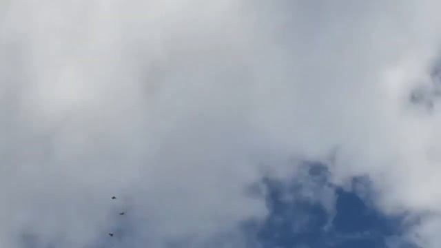 демонстрация полётов смотреть онлайн