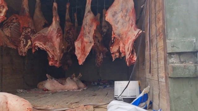 К,АШК,АДАРЁ ЧИРОК,ЧИ ОК,ТУ'НЛИ КУРАШДА БИР ЯРИМ ТОННА ГУ'ШТ КЕТДИ. смотреть онлайн