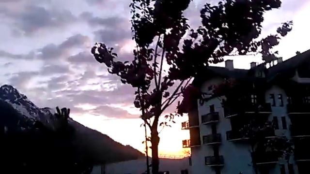 Деревья с розовыми цветками смотреть онлайн