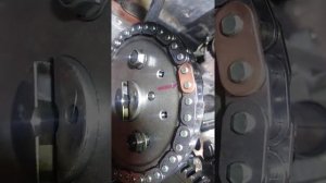 Дизельный SsangYong New Aktion замена цепи грм.