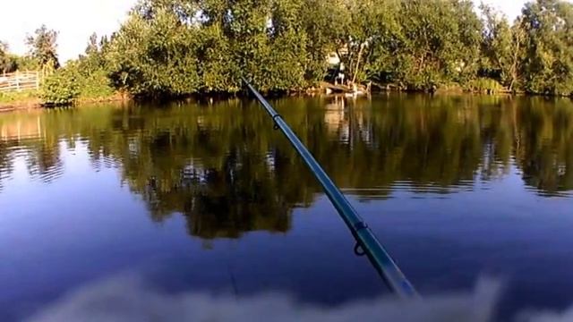 Караси в Ольгино смотреть онлайн