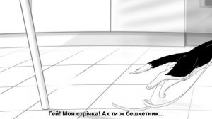 Purina Felix® Sensations із соусом!