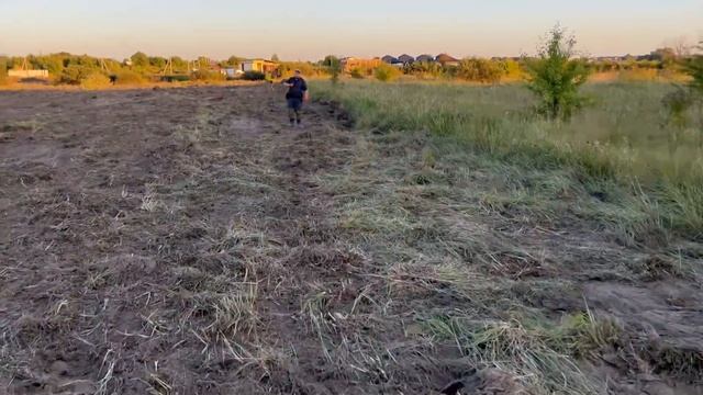 Копаем в день Коллекционера. Нашли редкую серебряную монету! смотреть онлайн