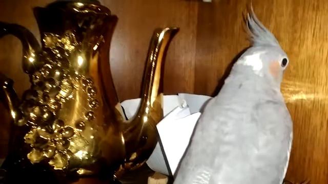Карела смотреть онлайн
