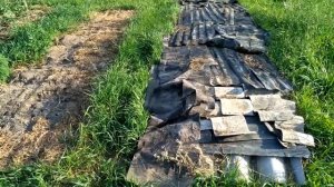 33. Обработка почвы на целине при помощи МУЛЬЧИ