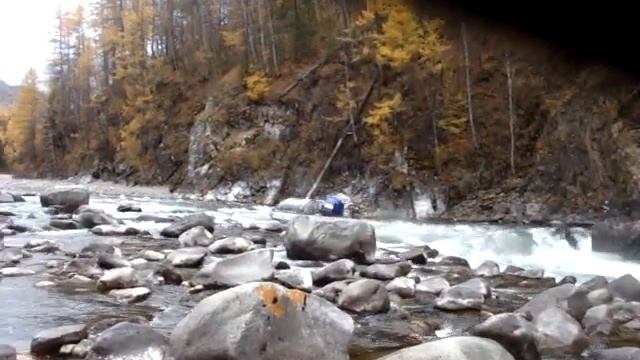 Стрекоза на горной реке