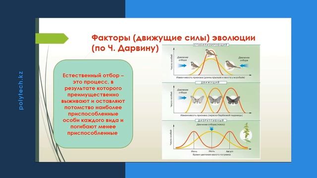 Видеолекция "Возникновение и развитие эволюционной теории Ч.Дарвина" смотреть онлайн