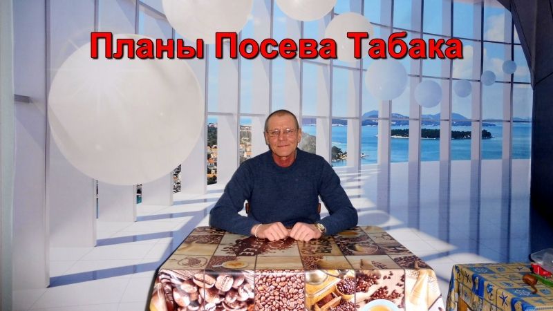 Планы посева Табака на 2024г.