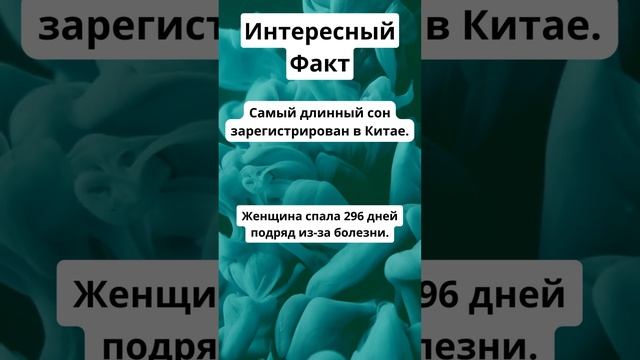 Самый длинный сон смотреть онлайн