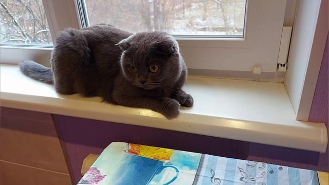 Рецепты Десертов