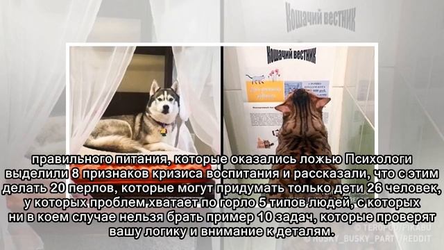 9 дизайнерских приемов, которые сделают узкую и длинную комнату уютной смотреть онлайн