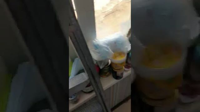 Стеллажи ТСУ на лоджии 2 шт смотреть онлайн