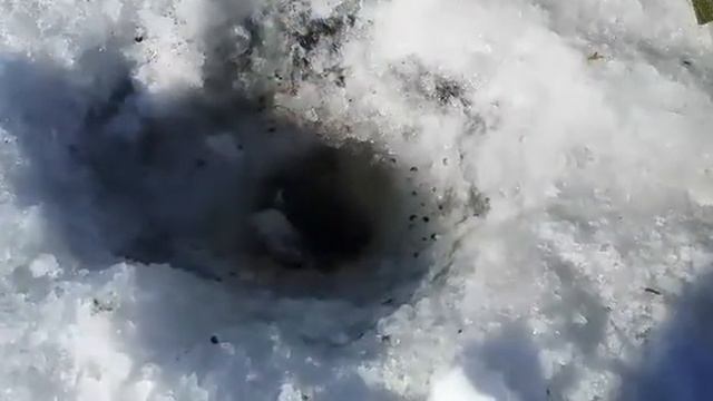 Хариус около 1 кг леска 0.1 смотреть онлайн