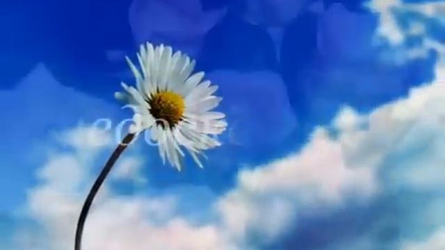 Таисия Повалий - Мама - мамочка смотреть онлайн