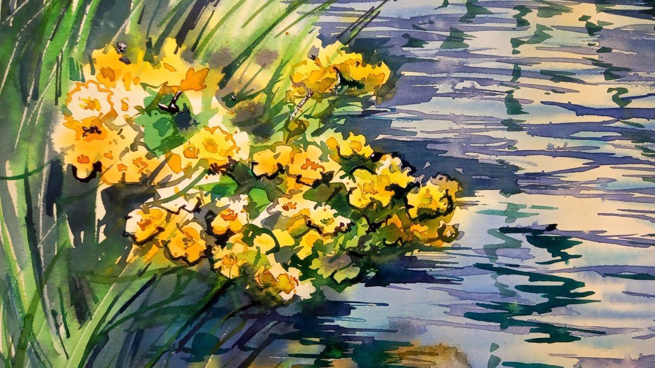 Калужница болотная, рисуем акварелью смотреть онлайн