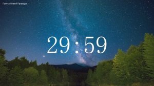 Обратный отсчет Таймер 1 час. Звуки живой природы / Countdown. Timer 1 hour. #ГолосаЖивойПрироды