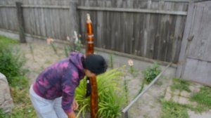 Пальма из пластиковых бутылок .Palma made of plastic bottles. Ideas for cottage and garden