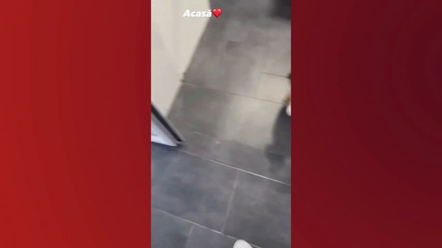 Alex Bodi și Ema Uta au dus relația la un alt nivel! Când vor ajunge cei doi în fața altarului? смотреть онлайн