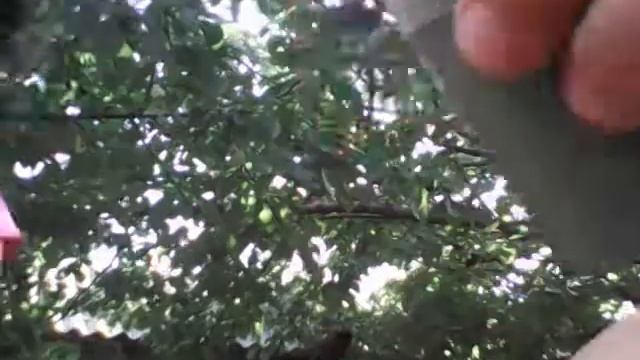 Человечки из зубочисток смотреть онлайн