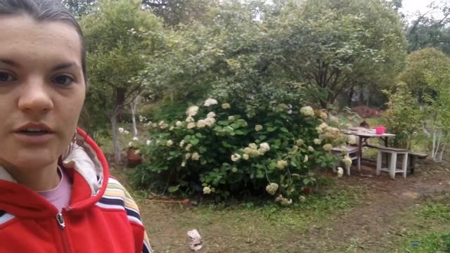 Делаю букет цветов. Оформление дачного участка смотреть онлайн