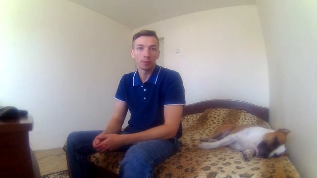 КТО УМНЕЙ АЛАБАЙ\\ПИТБУЛЬ ИЛИ СТАФФОРД