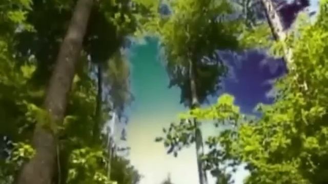 RICHARD CLAYDERMAN MIX 4 смотреть онлайн