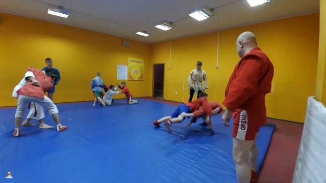 Полная тренировка по «Самбо» смотреть онлайн