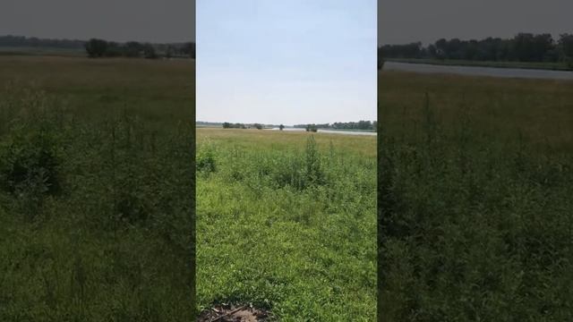 Мы строим свою усадьбу на 2 гектарах по пермакультуре смотреть онлайн