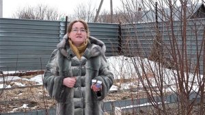 Защита плодовых деревьев весной. Препарат Пуршат.