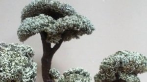 Исландский мох. Цетрария исландская. Декоративное дерево. Полезные свойства. Бонсай. Дерево мудрост