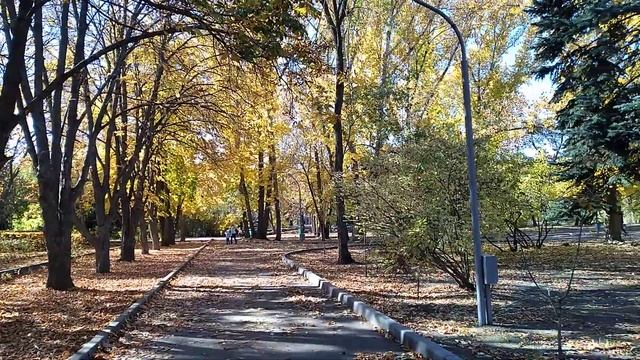 А я тоже люблю шуршать осенней листвой, как этот ребенок в осеннем Горпарке) смотреть онлайн