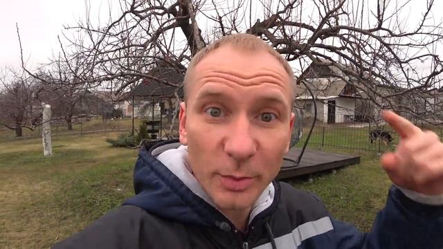 Белим деревья ЗИМОЙ Когда Чем Почему смотреть онлайн