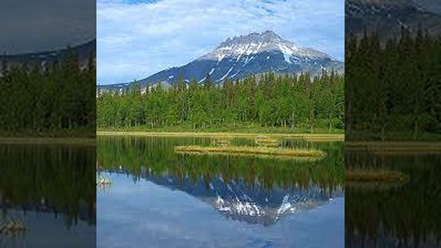 СЕРГЕЙ АЛЕКСЕЕВ "КОЛЬЦО ПРИНЦЕССЫ" смотреть онлайн