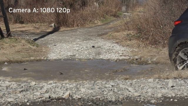 Olympus OM-D EM1 Mark III Vs. Sony A7III Video Compared