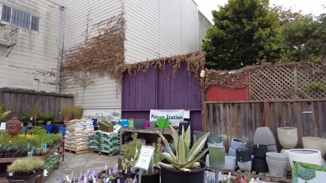 Sloat Garden Center смотреть онлайн