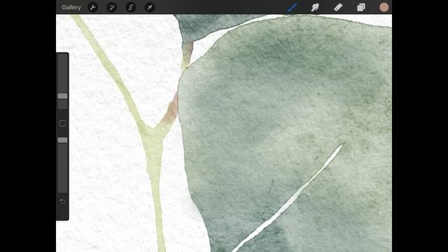 How to draw eucalyptus in Procreate with Soft watercolor brushes by Yuliya Derbisheva смотреть онлайн