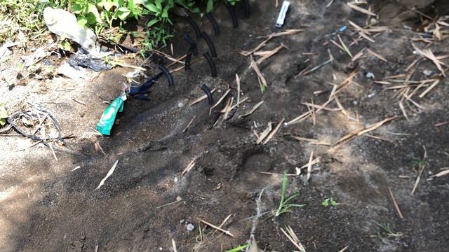 Mencari Merakit Mainan Kereta Api Di Pinggir Sungai Lokomotif, Gerbong, Batu Bara Part 1 PAPILO TOY смотреть онлайн