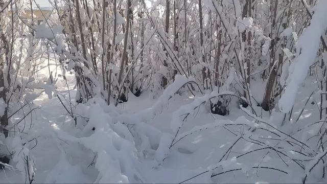 26-27-ЯНВАР ШОШИЛИНЧ ХАЛҚ ТАЙОР ТУРУНГ ОБ-ХАВО КЕСКИН ЎЗГАРАДИ КЕЧ БУЛМАСДАН ОГОХ БЎЛИНГ смотреть онлайн