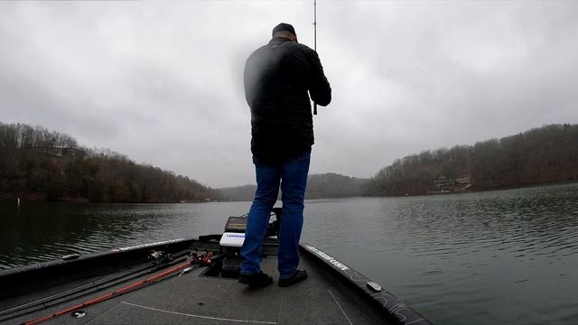 Berkley GULP Minnow Catches Unexpected Fish!