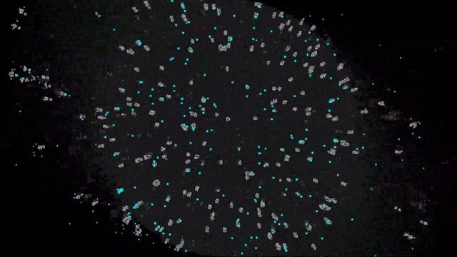 Simulated Video Feedback on the GPU (Run 8460) смотреть онлайн