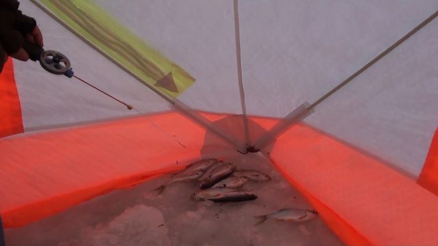 Плотва в палатке! Мотыль! Манка! смотреть онлайн