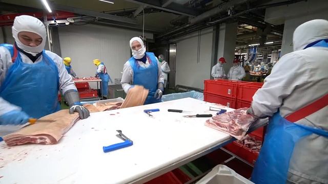 Полное погружение в профессию: студенты Курской ГСХА проходят оплачиваемую практику на КМПЗ смотреть онлайн