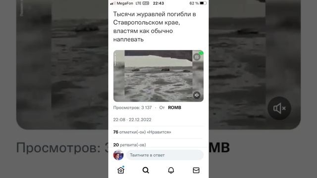 Тысячи журавлей погибли #гибель #журавли #животные смотреть онлайн